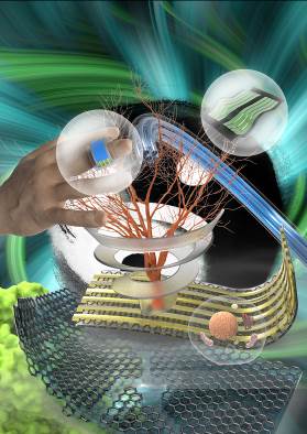 半导体所在柔性自驱动可穿戴传感系统取得新进展